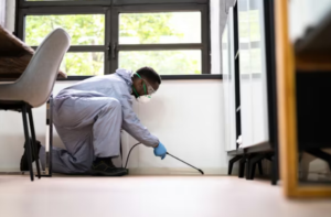 How Pest Threats Are Reshaping the Commercial Risk Playbook